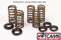 Hot cams Sada pružín ventilov YAMAHA YZF 250