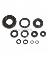 ATHENA Sada gufier motora YAMAHA YZ 250