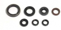 Athena Sada gufier motora YAMAHA YZF/WRG 250 01-13