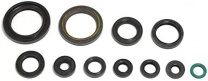 Athena Sada gufier motora Honda CRF 250 04-17