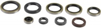 Athena Sada gufier motora KTM 250/300 EXC