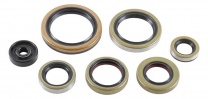 Athena Sada gufier motora KTM/HSQ/GAS 250/300 2T 2017-2024