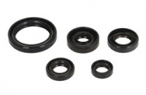 Athena Sada gufier motora YAMAHA YZF 250 2019-2024, WRF 250 2020-2024