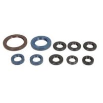 Athena Sada gufier motora KTM 250 EXCF / HUSQVARNA FE 250 2014-2016