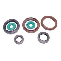 Athena Sada gufier motora KTM 450/530 EXCR 2009-2011