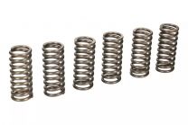 TRW Sada spojkových pružín 