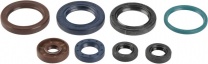 Athena Sada gufier motora KTM 250 SXF 2006-2012, EXCF 2007-2013