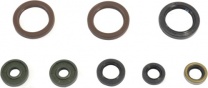 Athena Sada gufier motora KTM 450 SXF 2013, EXC-F 450/500 2012-2013