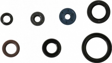 Sada gufier motora YAMAHA YZF 250 2014-2018, WRF 250 2015-2019