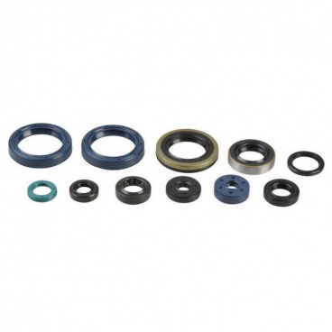 Sada gufier motora KAWASAKI KXF 450