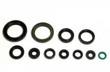 Sada gufier motora HONDA CRF 450 02-08