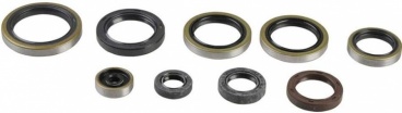 Sada gufier motora KTM 250/300 EXC