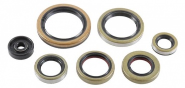 Sada gufier motora KTM/HSQ/GAS 250/300 2T 2017-2024