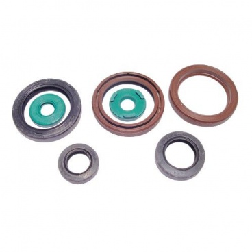 Sada gufier motora KTM 450/530 EXCR 2009-2011