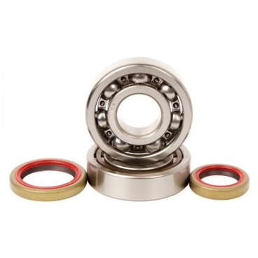 Sada ložísk a gufier kľukového hriadeľa