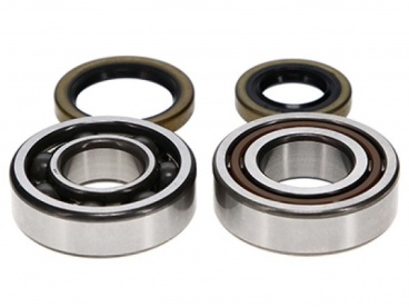 Sada ložísk a gufier kľuky KTM, HUSQVARNA, GAS GAS 125-150 2T 2024-2025*