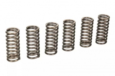Sada spojkových pružín 