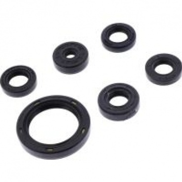 Sada gufier motora KAWASAKI KXF 450