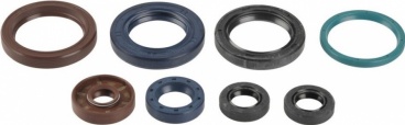 Sada gufier motora KTM 250 SXF 2006-2012, EXCF 2007-2013
